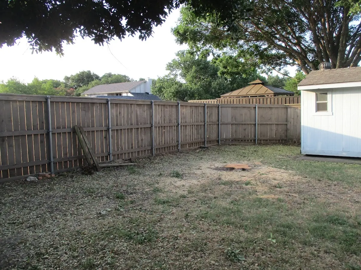 Cleared yard after professional tree removal in Berclair