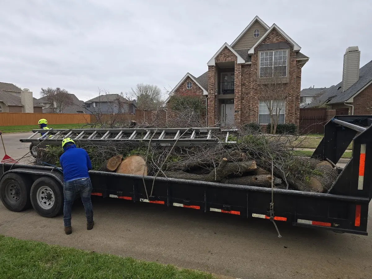 Expert Tree Fertilization with proper safety equipment in Berclair